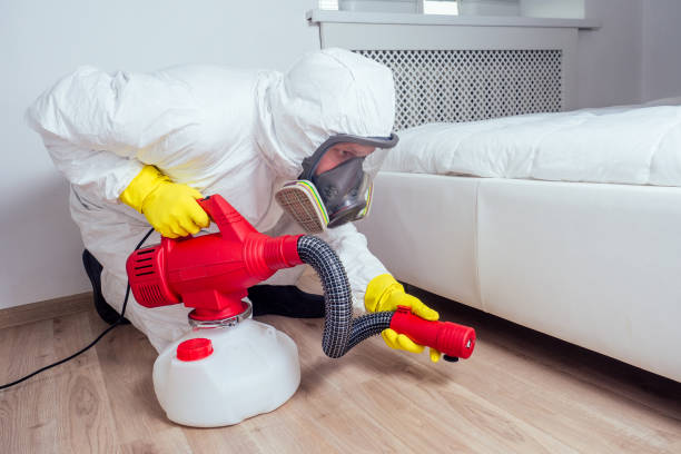 Best Pest Prevention Services  in Kelseyville, CA