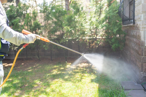 Pest Control Cost in Kelseyville, CA